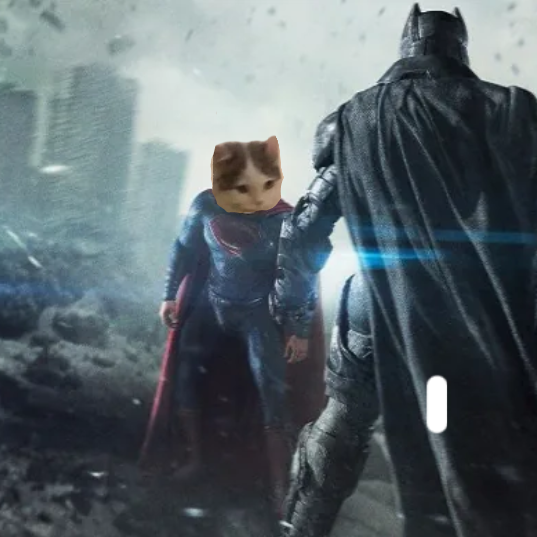 Superman-Cat saving the city